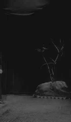 A Shamanic Initiation and Transformation through Horror: An analysis of David Lynch’s Eraserhead (1977)