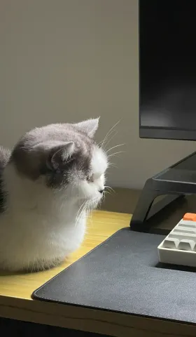 02-表上的数字很神奇