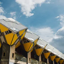 鹿特丹马拉松·第5,6周·致敬基普图姆