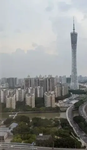 Bolyn Weekly 019：越长大，越无知