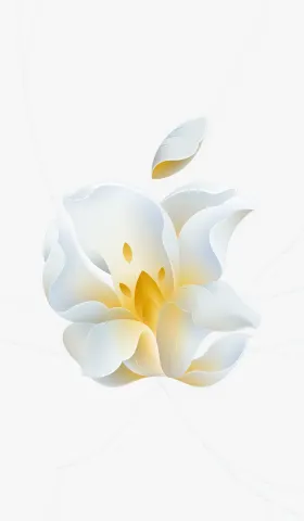 #01 Apple 静安店终于开业了!