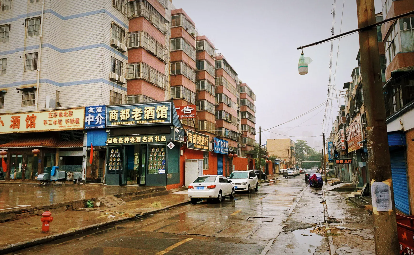 一颗小树 #33 回不去的名字叫家乡
