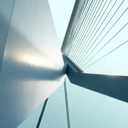  鹿特丹马拉松 · 第10-11周 · 提高免疫力 · 半马 · 跑遍每条街