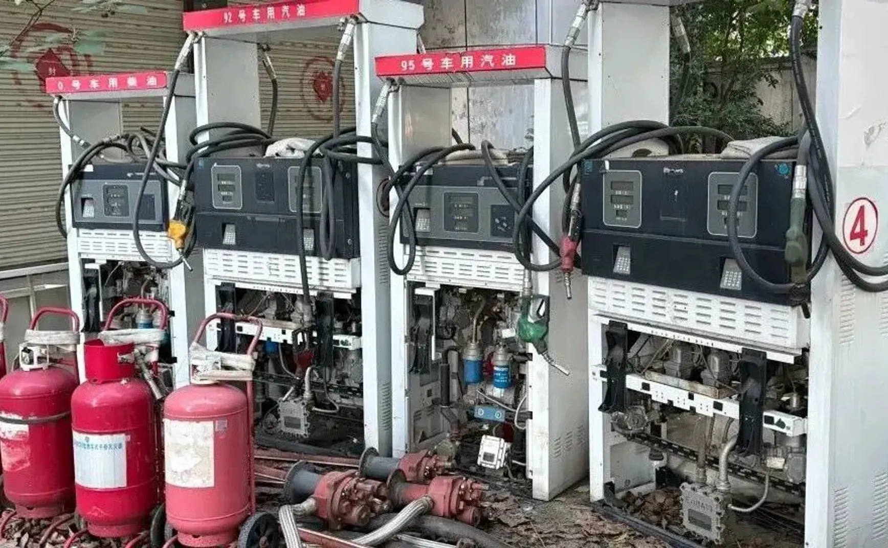冷眼看蒋方舟事件