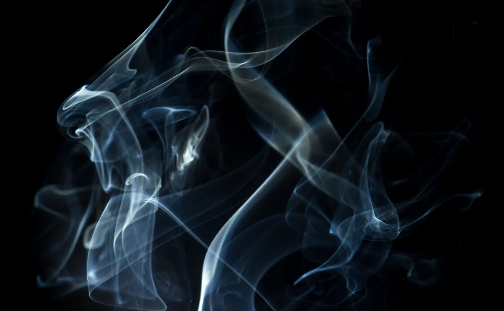 泛智能问题 02：具身性与道德起源