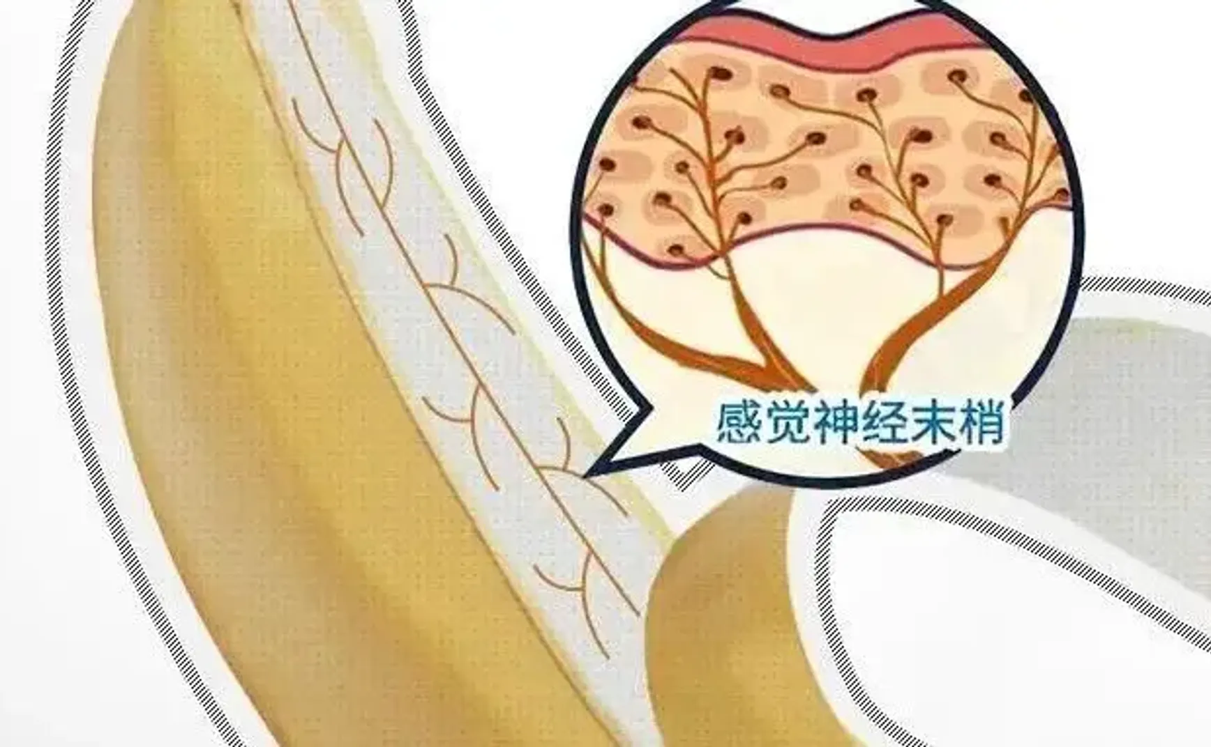 为什么男人总喜欢在那方面吹牛？