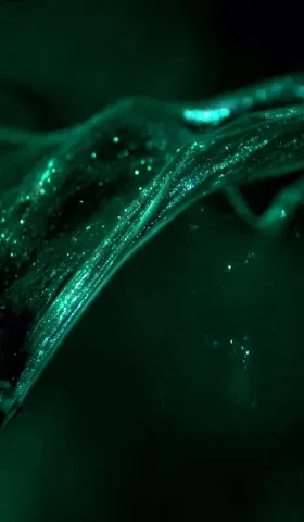 AIGC Weekly #129 放假周没啥消息