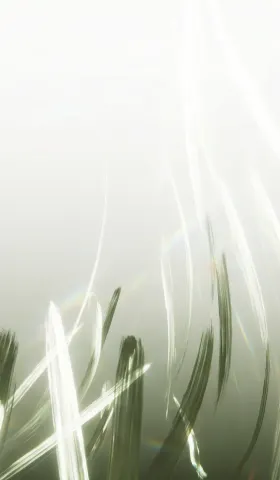 AIGC Weekly #149 感恩节假期没啥东西