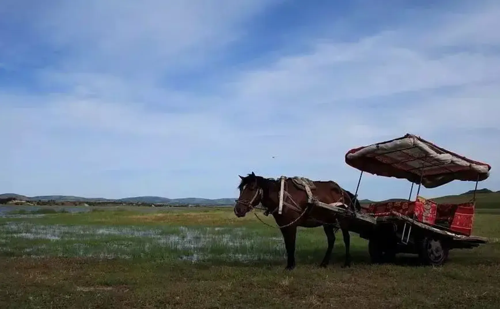 迟来的道歉