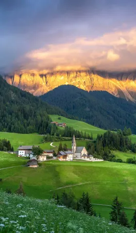 8月11日 | 今日关注：社会治理、历史记忆与科技发展