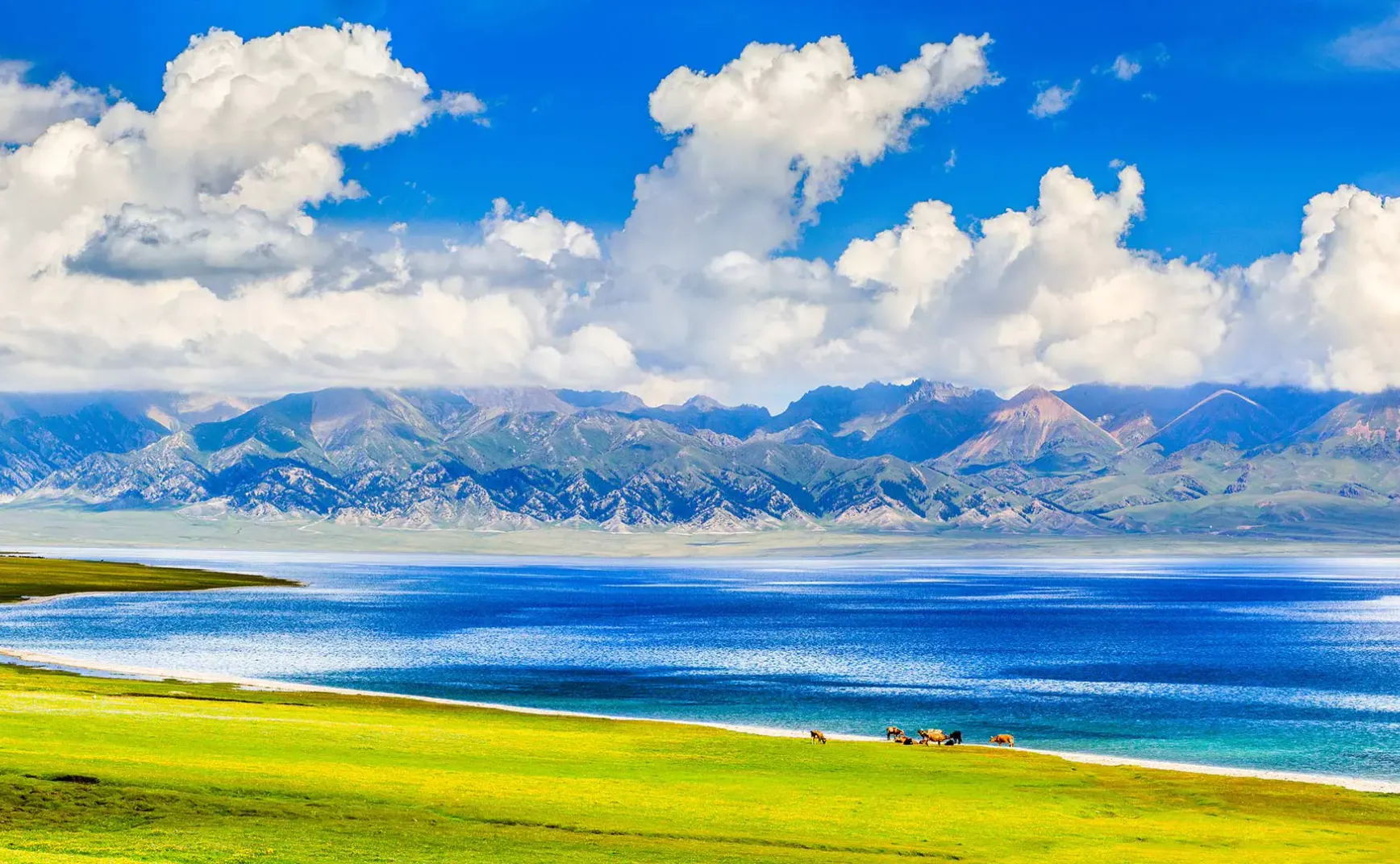 7月22日 | 重罪二审、高官落马，中欧会晤将登场