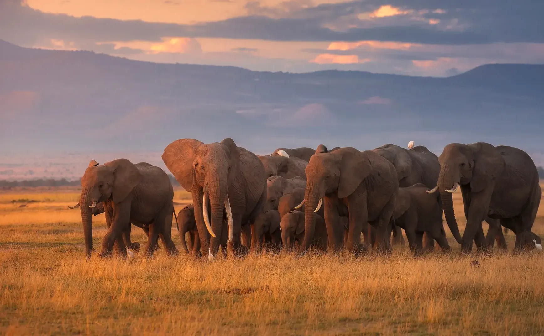 8月12日 | 加沙局势紧张引关注，国内养老诈骗案重审，国家公园完成确权