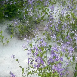 【25】风与风之间尚有空隙｜曲率飞船newsletter