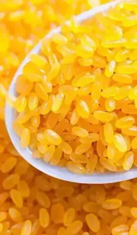 黄金大米有啥稀奇？这些米你认识么？