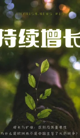 #19 持续增长