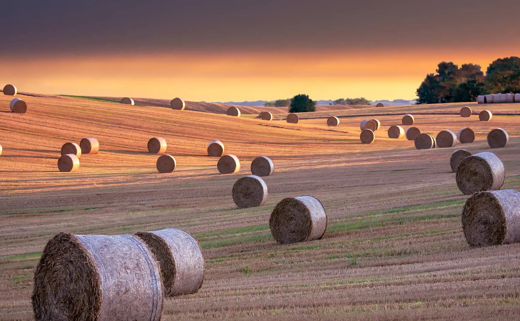 9月10日 | 教育公平、国际政局与反腐动态