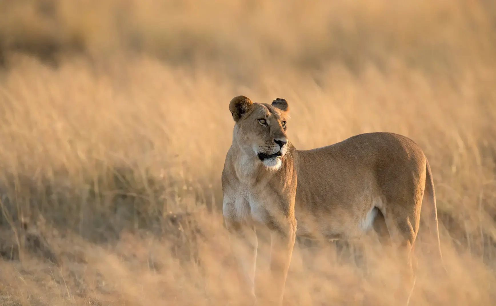 8月10日 | 甘肃洪灾俄美会晤 国内多地聚焦民生与治理