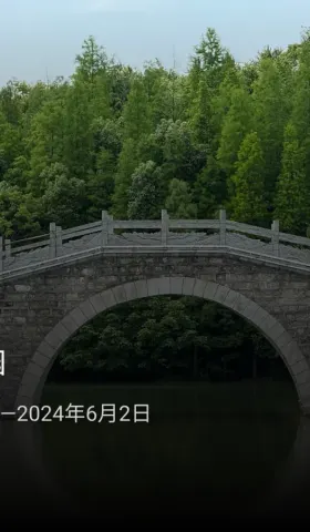 周报 #09 – 灿烂的花园