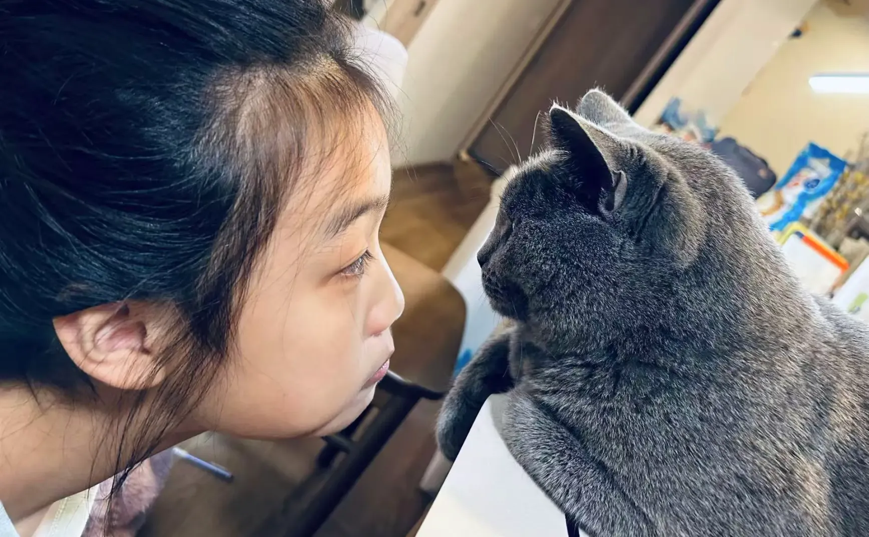 在日资产配置实用指南