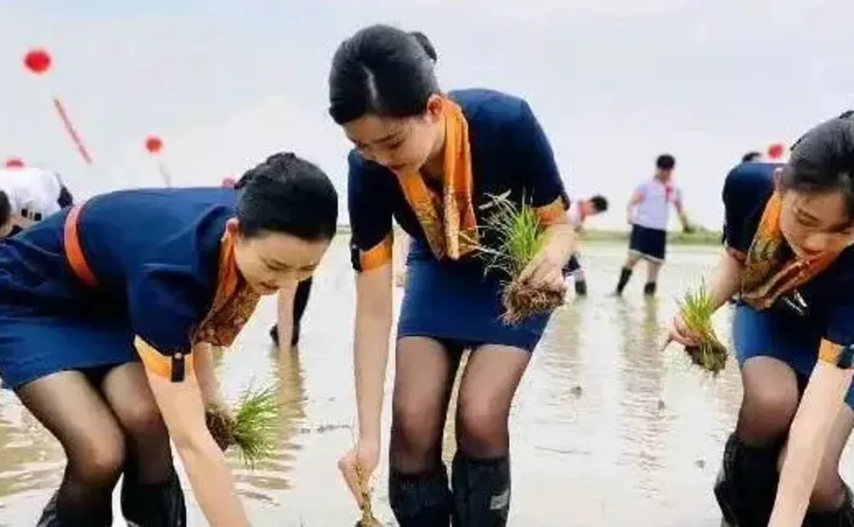 粮食安全=耕地×淡水×石油×技术×和平