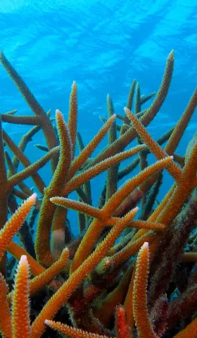 7月21日 | 甘肃铅毒案追责升级；靓家居停业创始人坠亡；越南船难35人遇难