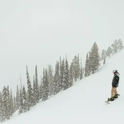 为什么忙起来就没有表达欲？
