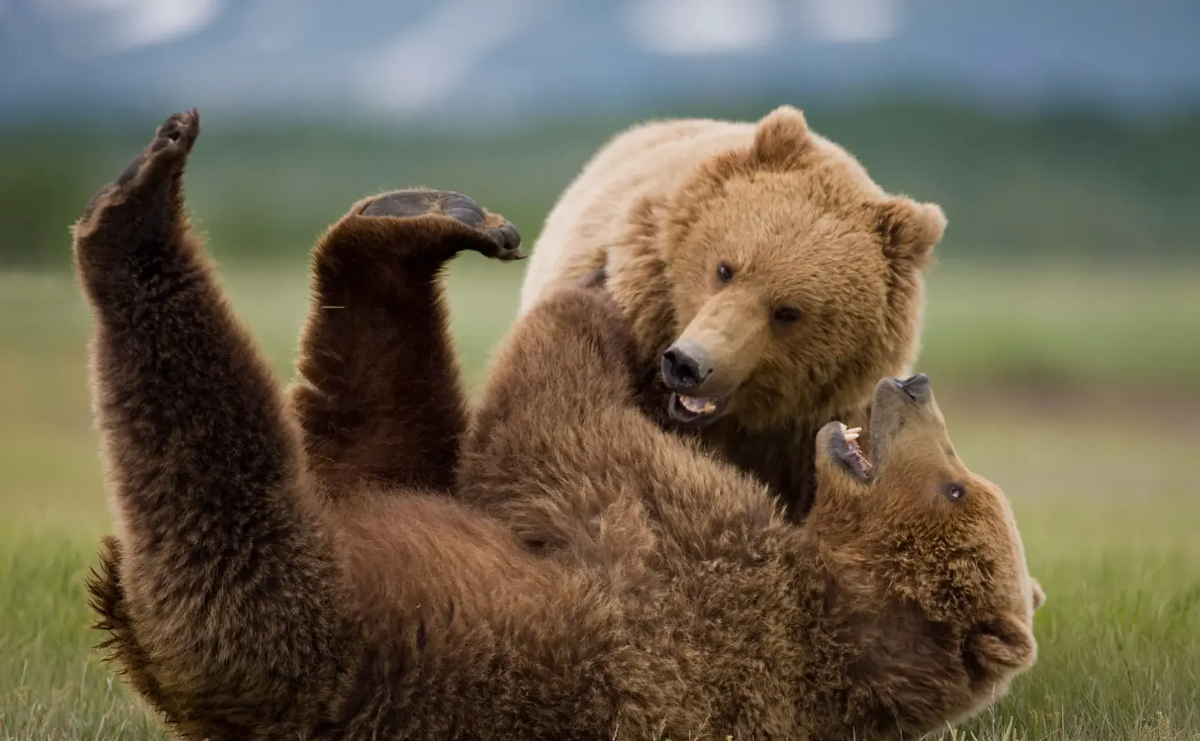 9月4日 | 纪念抗战胜利80周年：阅兵展示新型武器，印尼总统出席
