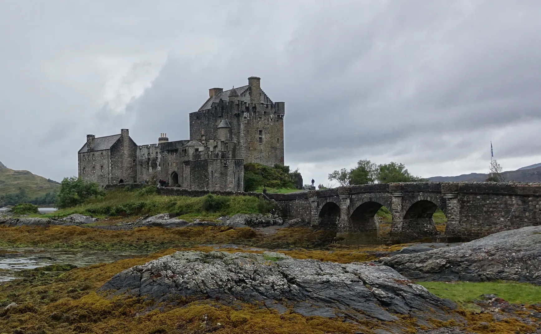 读记｜二〇二五・九：陀思妥耶夫斯基、白先勇