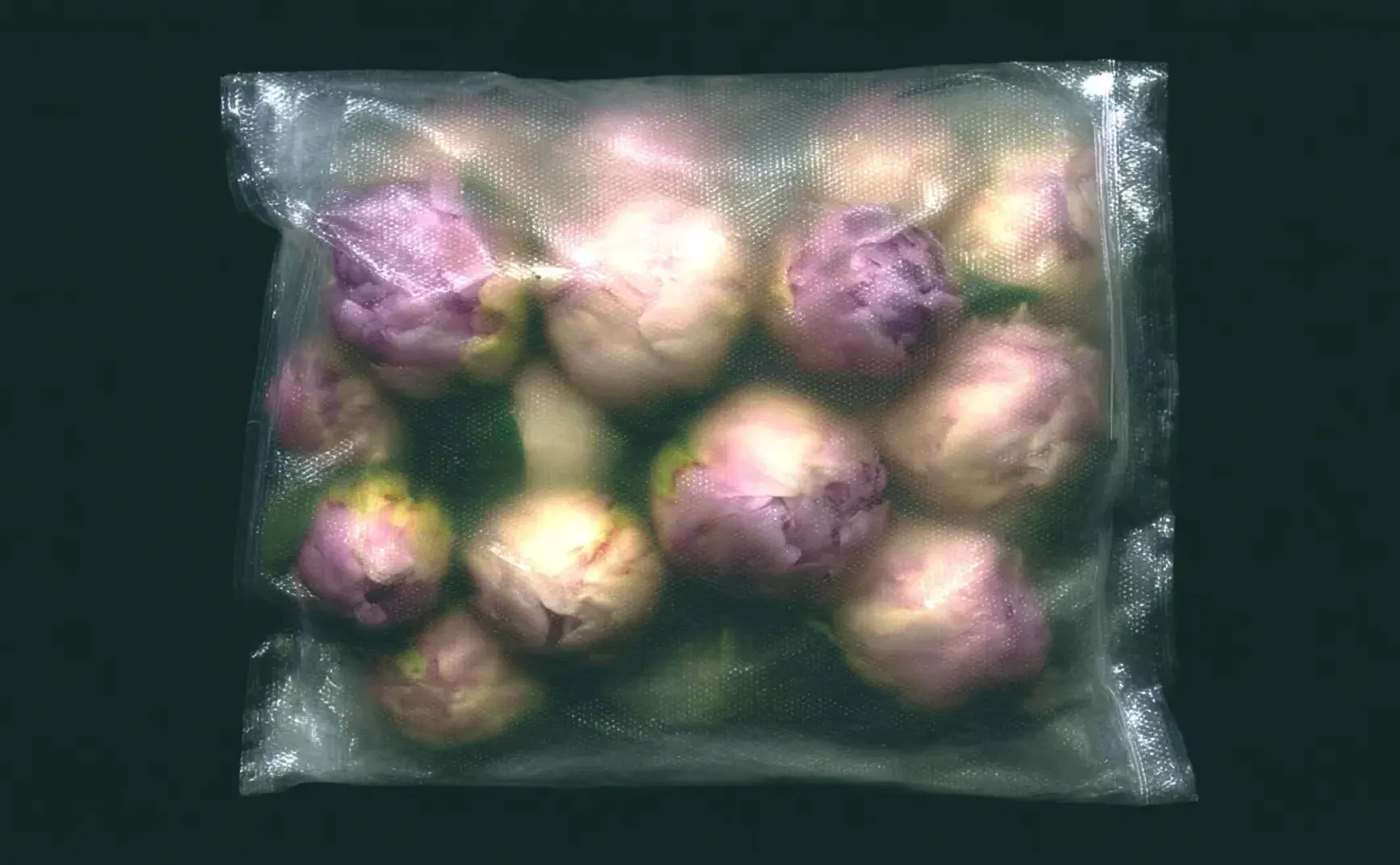 AIGC Weekly #148 真是充实的一周啊