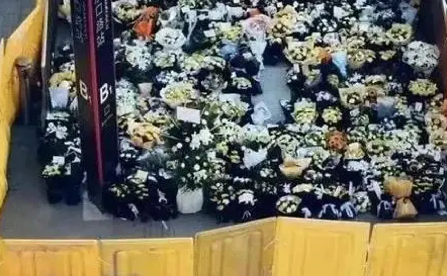 郑州，一座害怕鲜花的城市