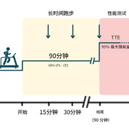 「实证有效」这种跳跃训练竟能让跑步耗氧降低8%？疲劳力竭时间延长35%！