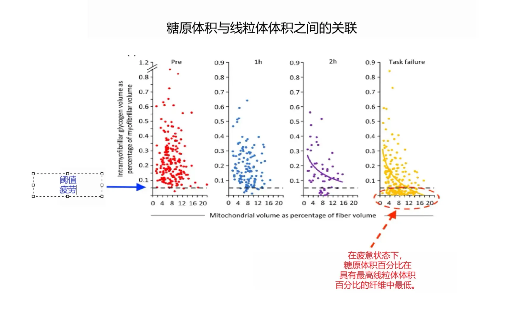 碳水化合物氧化如何影响你的耐力表现