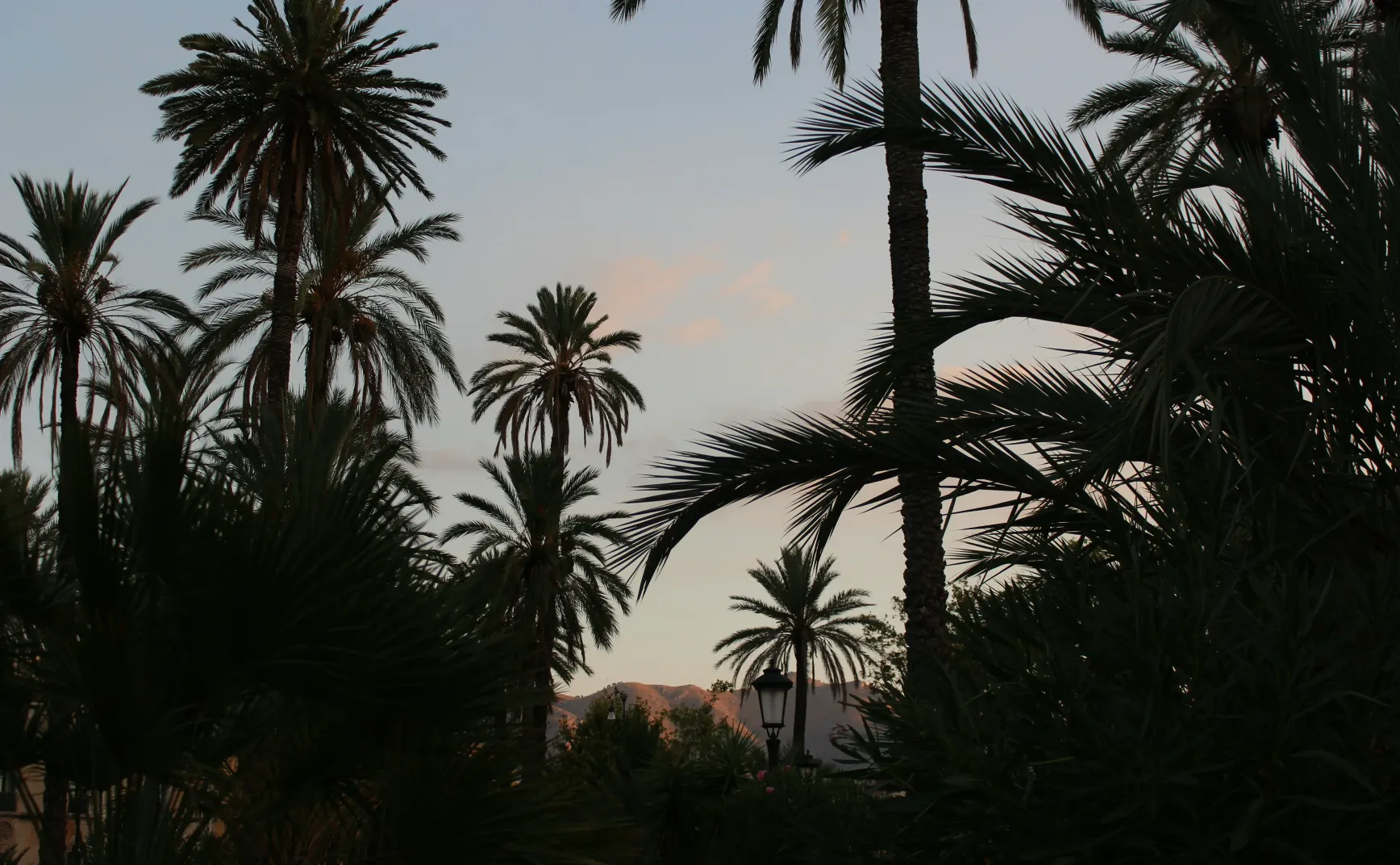 更好生活 031：重置多巴胺