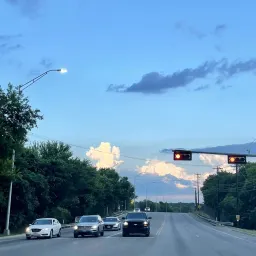 如何写一颗蓝莓｜自说自话#97