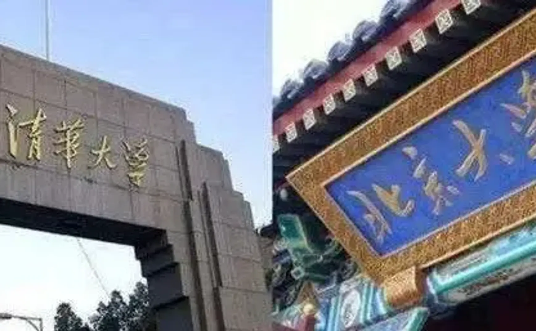 如果实在没有更好的选择，你可以考虑读个大学