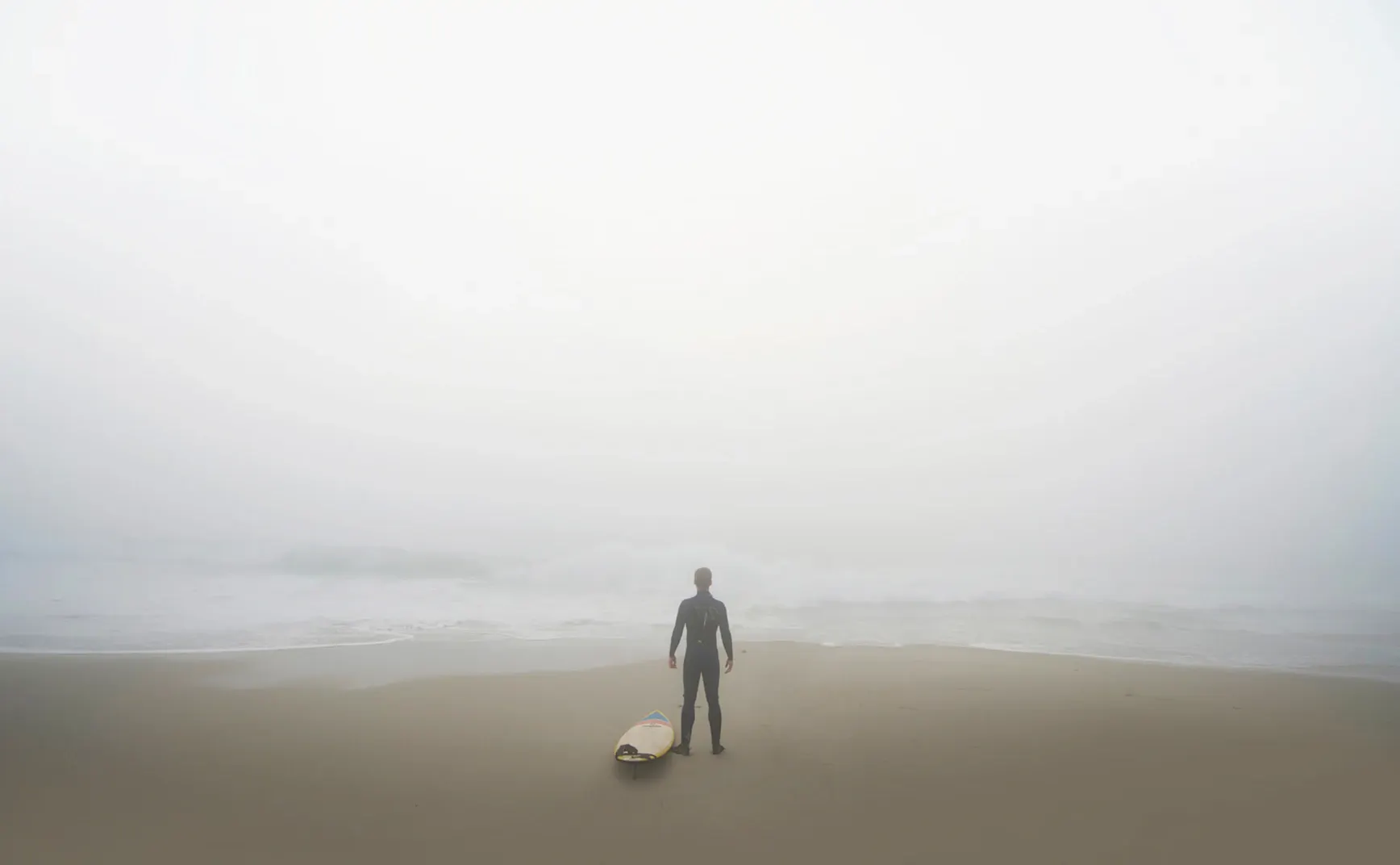 《猫的领地》第3章：“躺平”的解剖