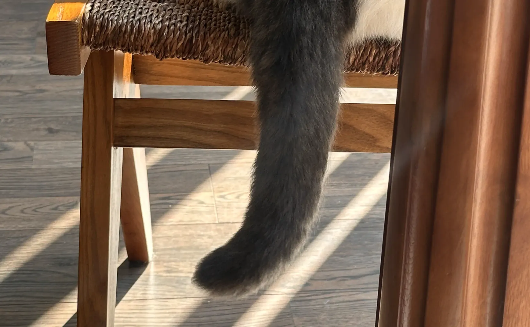 【36】幸好爱不在给予中耗损，而在给予中丰盈｜曲率飞船newsletter