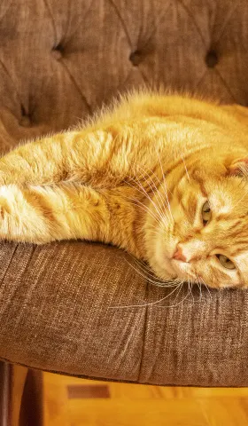 【解讀美股情緒】一起浪費時光的安全感 - 20260416