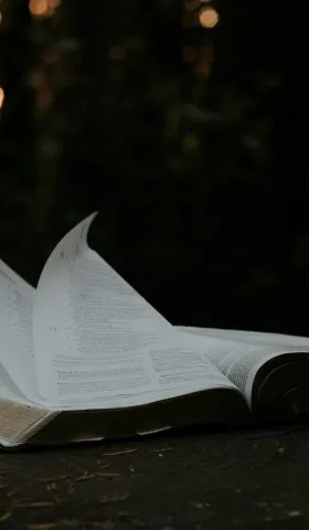 古老智慧的现代启示：在 AI 时代保持心智清明