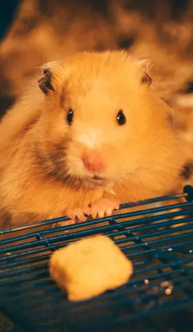 用AI进行统计学假设验证分析（这次成功了）