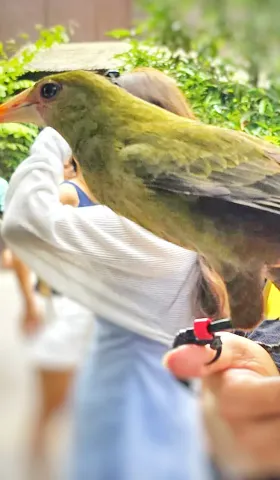 怎么在命盘上看你的「鸟」？