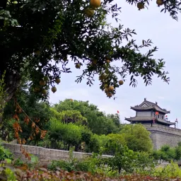 相聚已是最好的安排 | 试行错误139