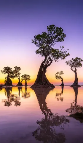 7月26日 | 聚焦国际动向，关注民生百态与行业变革