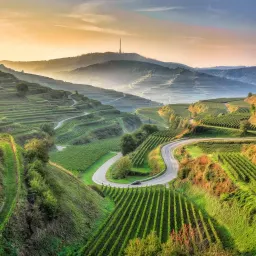 9月1日 | 普京访华深化中俄关系，体坛关注首秀失利与退役