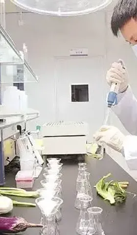 你每天吃到的农药，有我的一份功劳