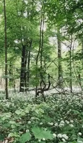 好吧，我也来做做德国中学生的家庭作业