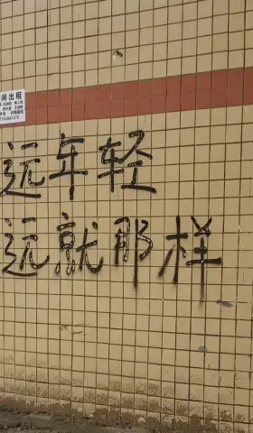 观察日记-03