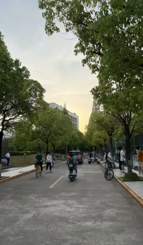 Bolyn Weekly 012：完美的亲密关系不需要彼此