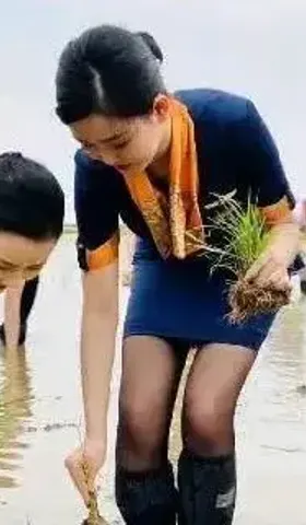 粮食安全=耕地×淡水×石油×技术×和平