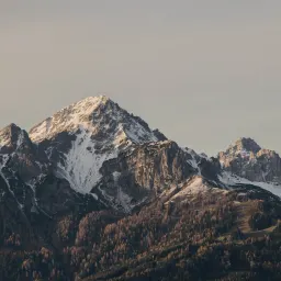 读记|二〇二六・一:纳瓦尔、孟岩、刘震云等